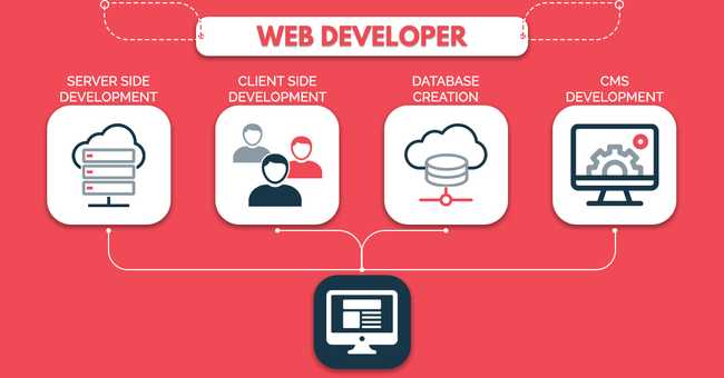 Web Developer WebDeveloper
